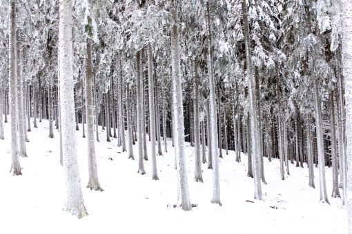 definitia contrastului