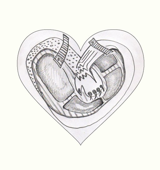 inima angina pectoris