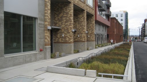 Swale - un sistem de drenare a apei, conceput de om sa arate bine si sa-si faca treaba!