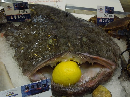 Un peste cunoscut sub mai multe denumiri. Care i se potriveste mai bine?