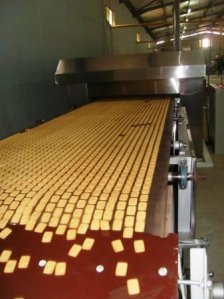 Biscuitii pe banda: se-nghesuie sa voteze toti ca unul ...