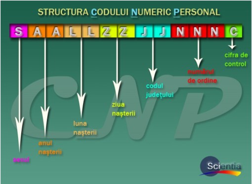 structura cnp-ului